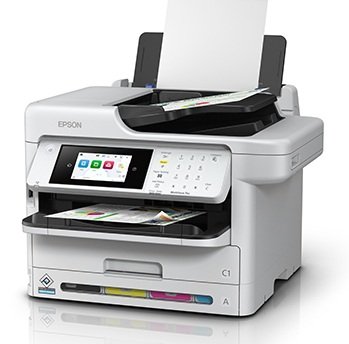 imagen-del-producto-individual